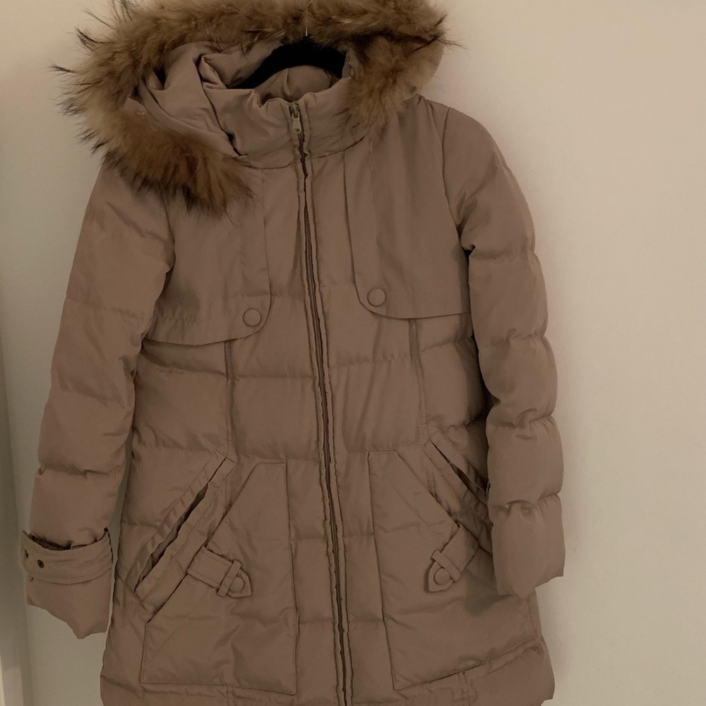 Quilted Puffer Hooded Coat
